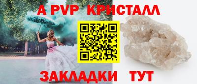 стаф Владимир